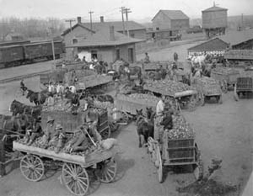 The freight house area in Tecumseh may have looked like this busy western town during harvest season.